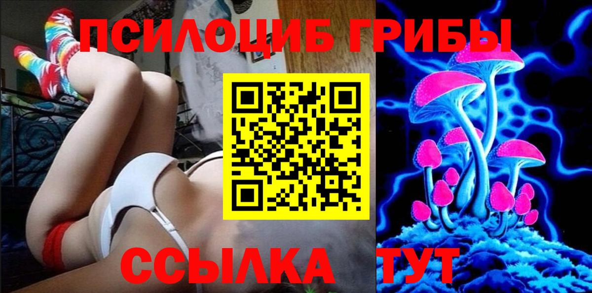 Галлюциногенные грибы мицелий Тула